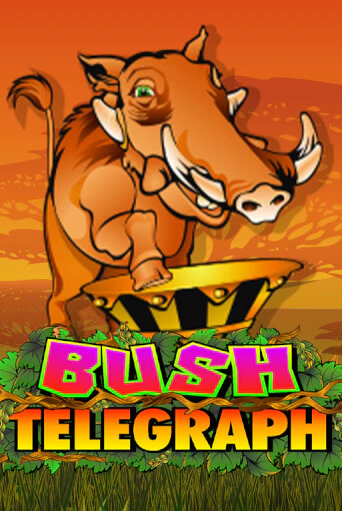 Демо игра Bush Telegraph играть онлайн | Casino X бесплатно