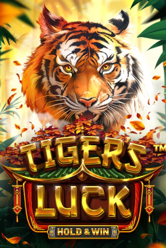 Демо игра Tiger's Luck - Hold & Win играть онлайн | Casino X бесплатно