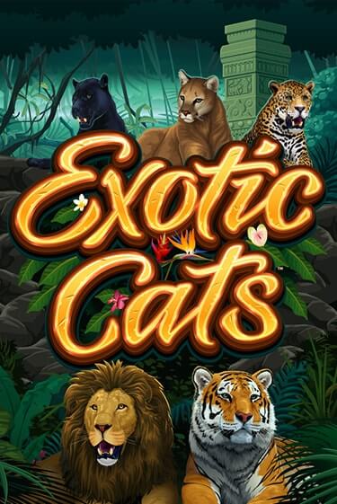 Демо игра Exotic Cats играть онлайн | Casino X бесплатно